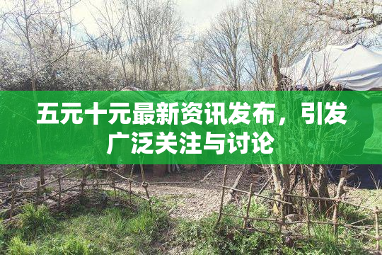 五元十元最新资讯发布，引发广泛关注与讨论