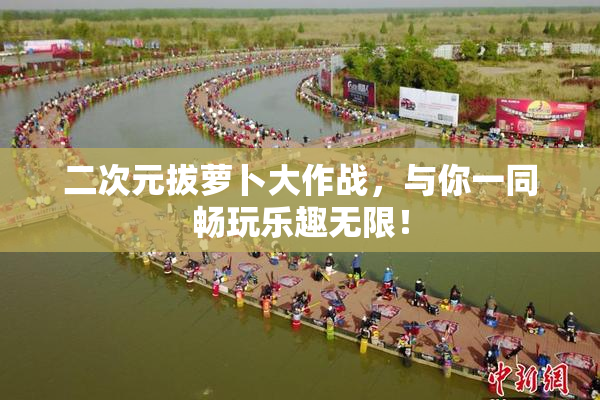 二次元拔萝卜大作战，与你一同畅玩乐趣无限！