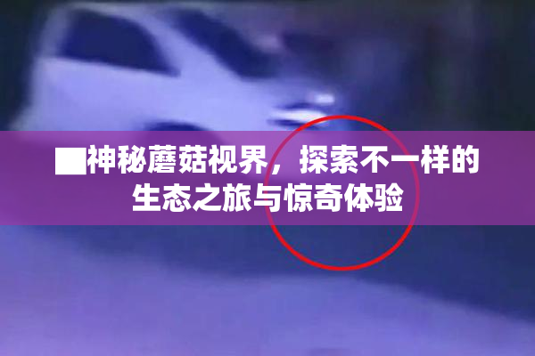 ▇神秘蘑菇视界，探索不一样的生态之旅与惊奇体验