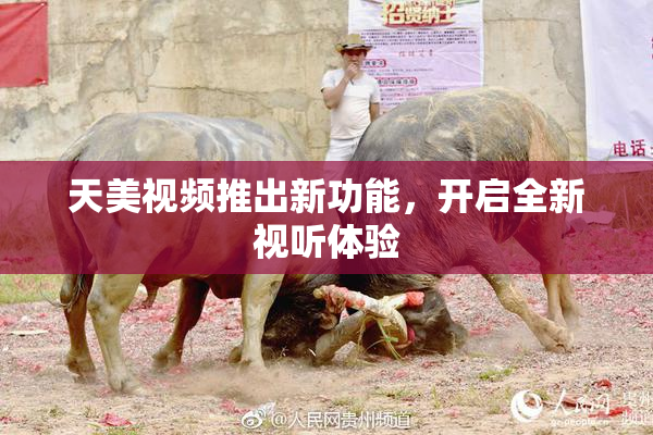 天美视频推出新功能，开启全新视听体验