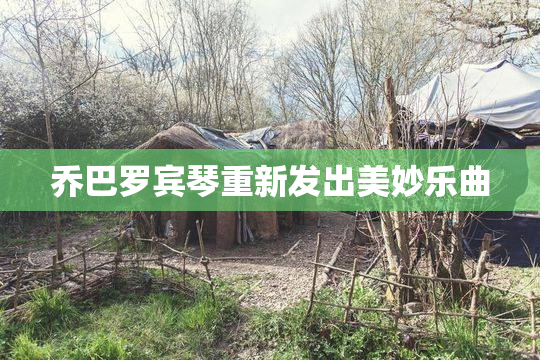 乔巴罗宾琴重新发出美妙乐曲