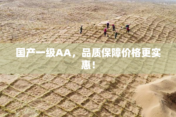 国产一级AA，品质保障价格更实惠！