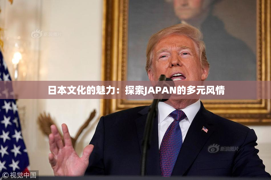 日本文化的魅力：探索JAPAN的多元风情