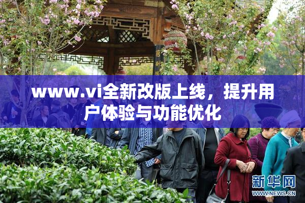 www.vi全新改版上线，提升用户体验与功能优化
