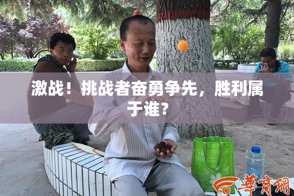 激战！挑战者奋勇争先，胜利属于谁？