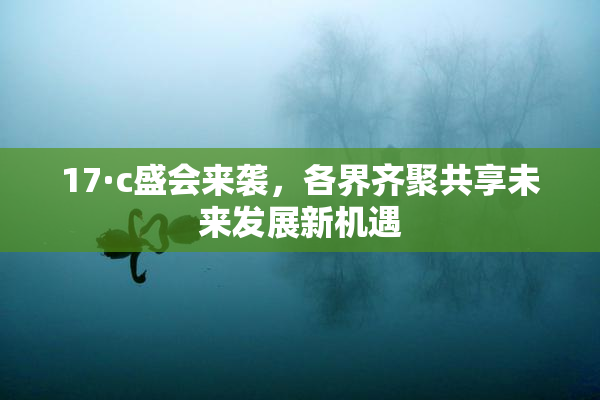 17·c盛会来袭，各界齐聚共享未来发展新机遇