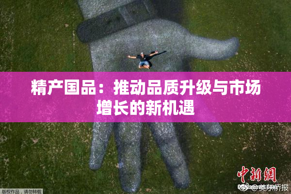 精产国品：推动品质升级与市场增长的新机遇