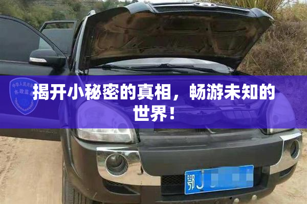 揭开小秘密的真相，畅游未知的世界！