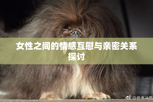 女性之间的情感互慰与亲密关系探讨