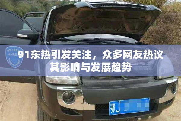 91东热引发关注，众多网友热议其影响与发展趋势