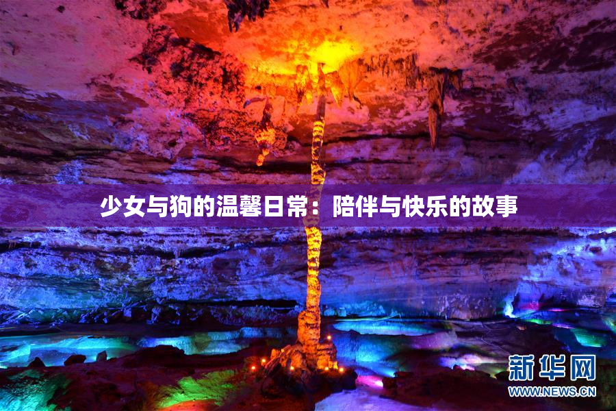 少女与狗的温馨日常：陪伴与快乐的故事