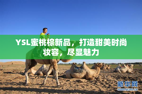 YSL蜜桃棕新品，打造甜美时尚妆容，尽显魅力