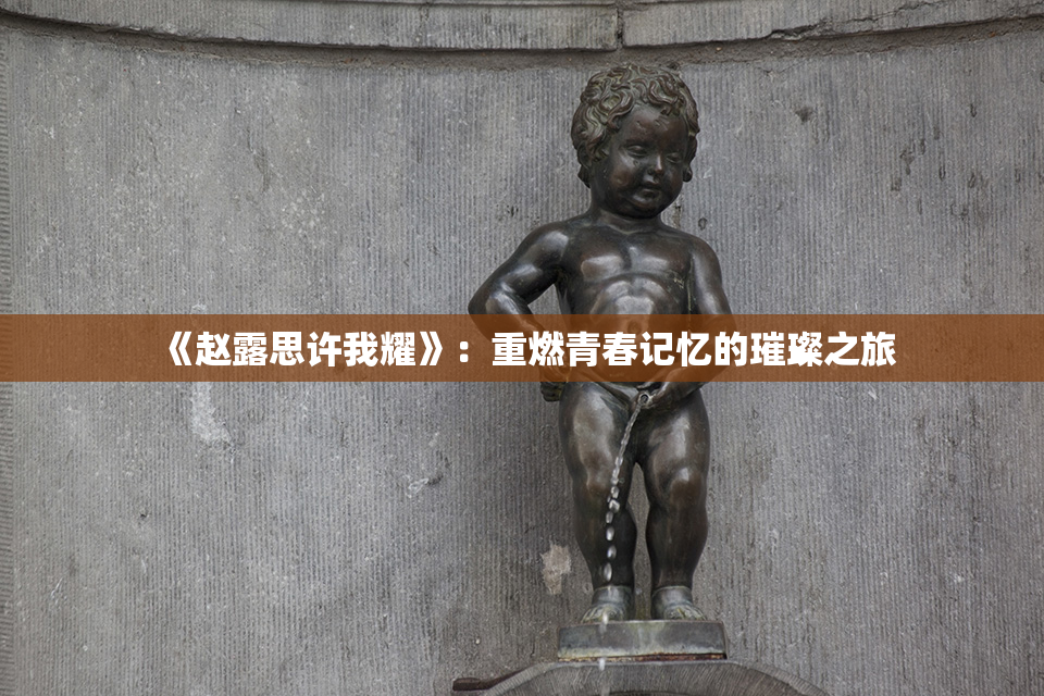《赵露思许我耀》：重燃青春记忆的璀璨之旅