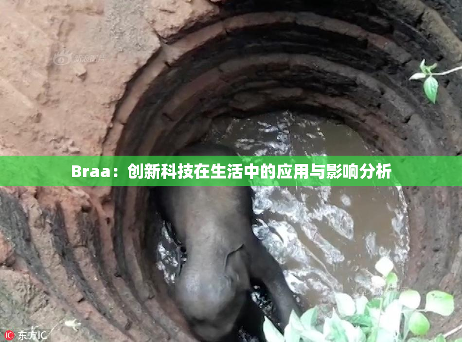 Braa：创新科技在生活中的应用与影响分析