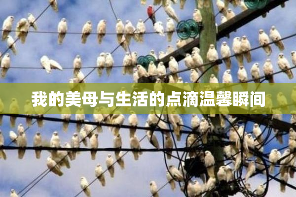 我的美母与生活的点滴温馨瞬间