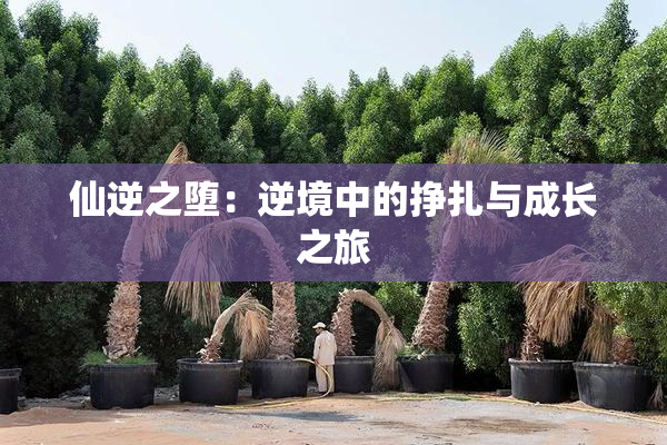 仙逆之堕：逆境中的挣扎与成长之旅
