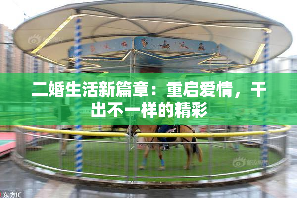 二婚生活新篇章：重启爱情，干出不一样的精彩