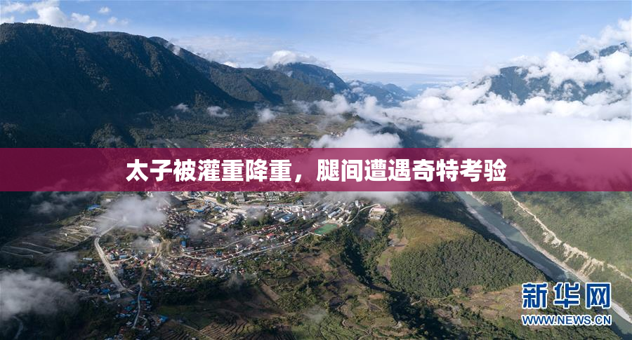 太子被灌重降重，腿间遭遇奇特考验
