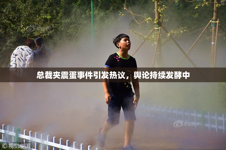 总裁夹震蛋事件引发热议，舆论持续发酵中