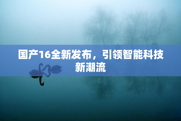 国产16全新发布，引领智能科技新潮流