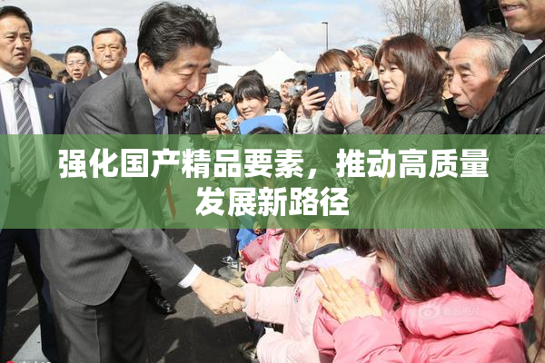强化国产精品要素，推动高质量发展新路径