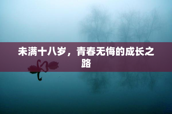 未满十八岁，青春无悔的成长之路