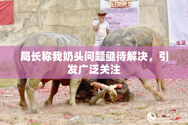 局长称我奶头问题亟待解决，引发广泛关注