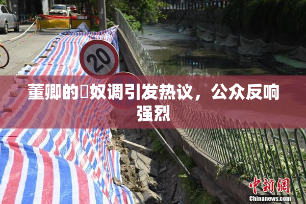 董卿的婬奴调引发热议，公众反响强烈