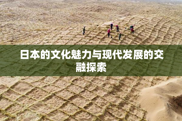 日本的文化魅力与现代发展的交融探索