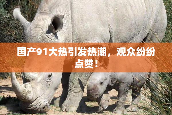 国产91大热引发热潮，观众纷纷点赞！