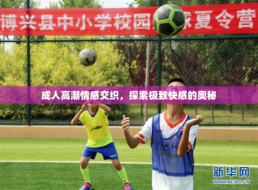 成人高潮情感交织，探索极致快感的奥秘