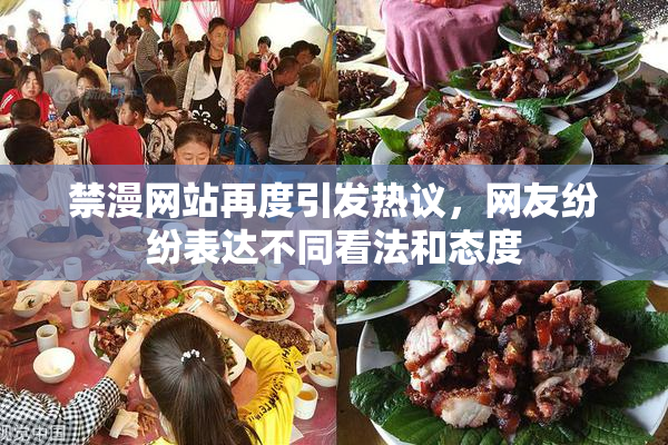 禁漫网站再度引发热议，网友纷纷表达不同看法和态度