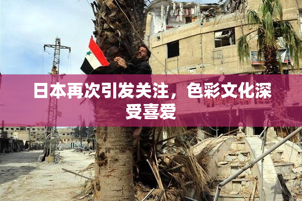 日本再次引发关注，色彩文化深受喜爱
