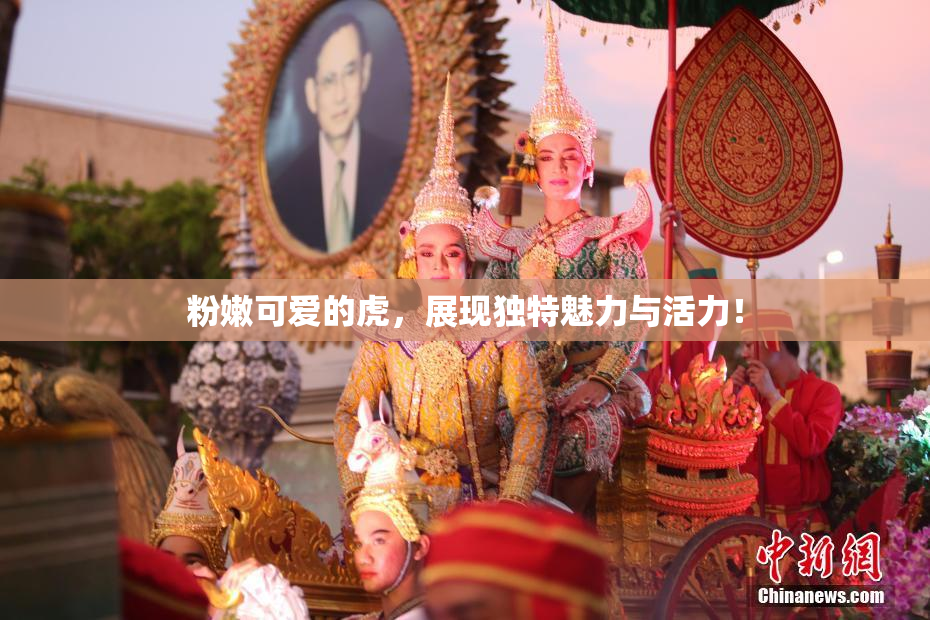 粉嫩可爱的虎，展现独特魅力与活力！