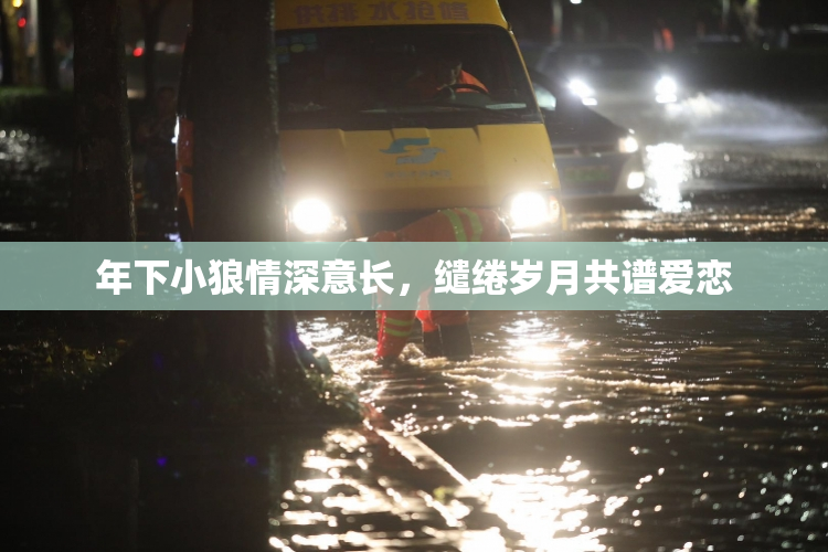 年下小狼情深意长，缱绻岁月共谱爱恋