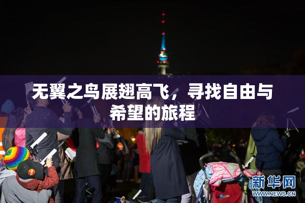 无翼之鸟展翅高飞，寻找自由与希望的旅程
