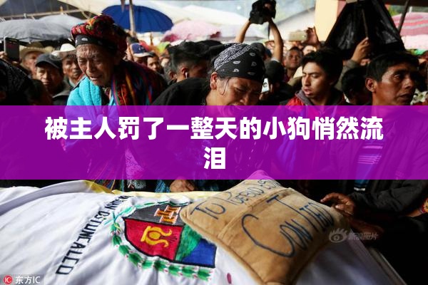 被主人罚了一整天的小狗悄然流泪