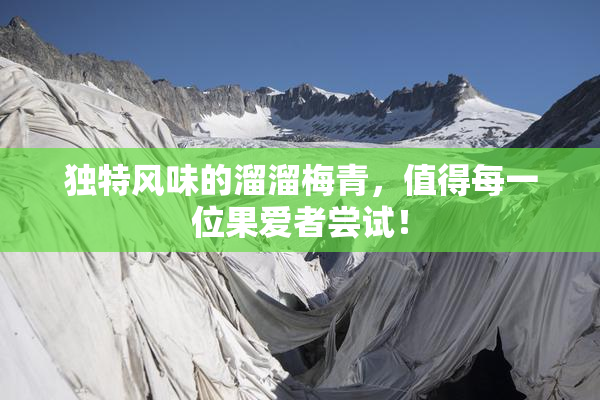 独特风味的溜溜梅青，值得每一位果爱者尝试！