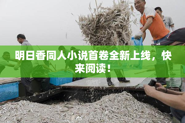 明日香同人小说首卷全新上线，快来阅读！