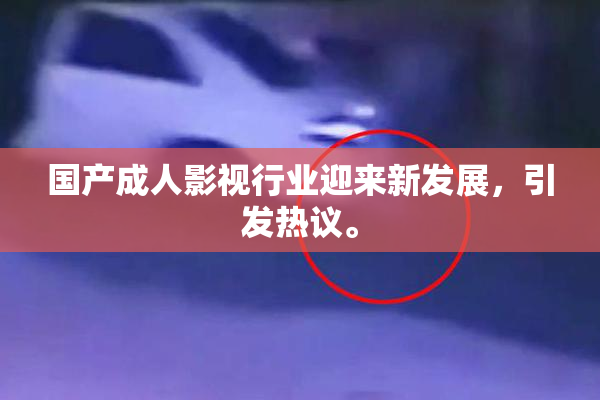 国产成人影视行业迎来新发展，引发热议。