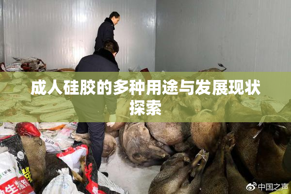 成人硅胶的多种用途与发展现状探索