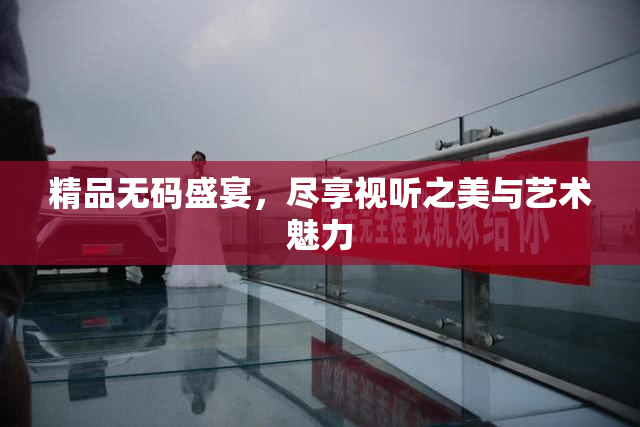 精品无码盛宴，尽享视听之美与艺术魅力