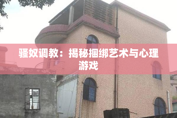 骚奴调教：揭秘捆绑艺术与心理游戏
