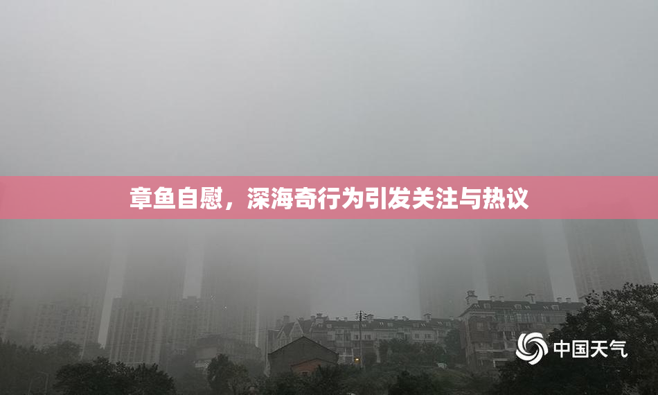章鱼自慰，深海奇行为引发关注与热议