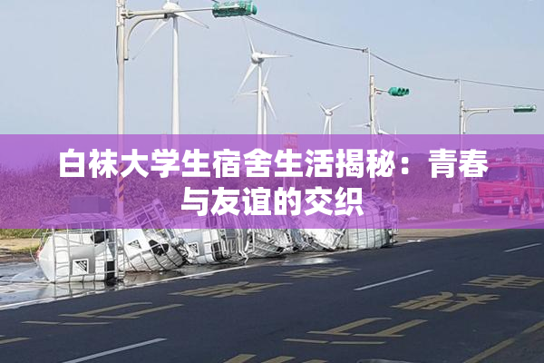 白袜大学生宿舍生活揭秘：青春与友谊的交织