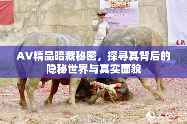 AV精品暗藏秘密，探寻其背后的隐秘世界与真实面貌