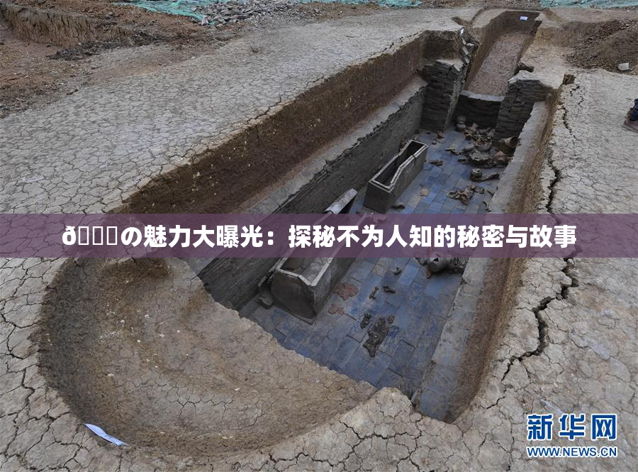 🍆の魅力大曝光：探秘不为人知的秘密与故事