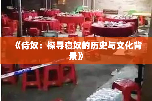 《侍奴：探寻寝奴的历史与文化背景》