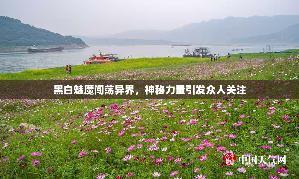 黑白魅魔闯荡异界，神秘力量引发众人关注