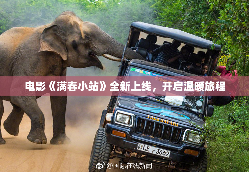 电影《满春小站》全新上线，开启温暖旅程